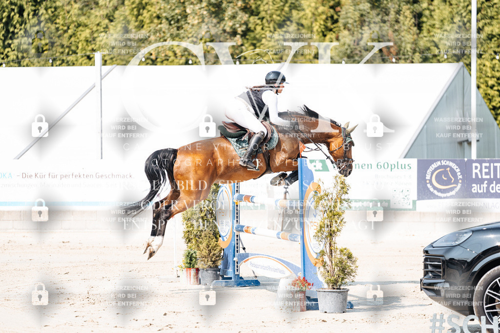 CK902127 | Turnierfotografie Pferdefotografie Trier Rheinland-Pfalz Pferdesport Reitsport Tierfotografie Sportfotografie Pferdevideo Pferdevideografie Equestrianvideography equestrianphotography  - Realisiert mit Pictrs.com