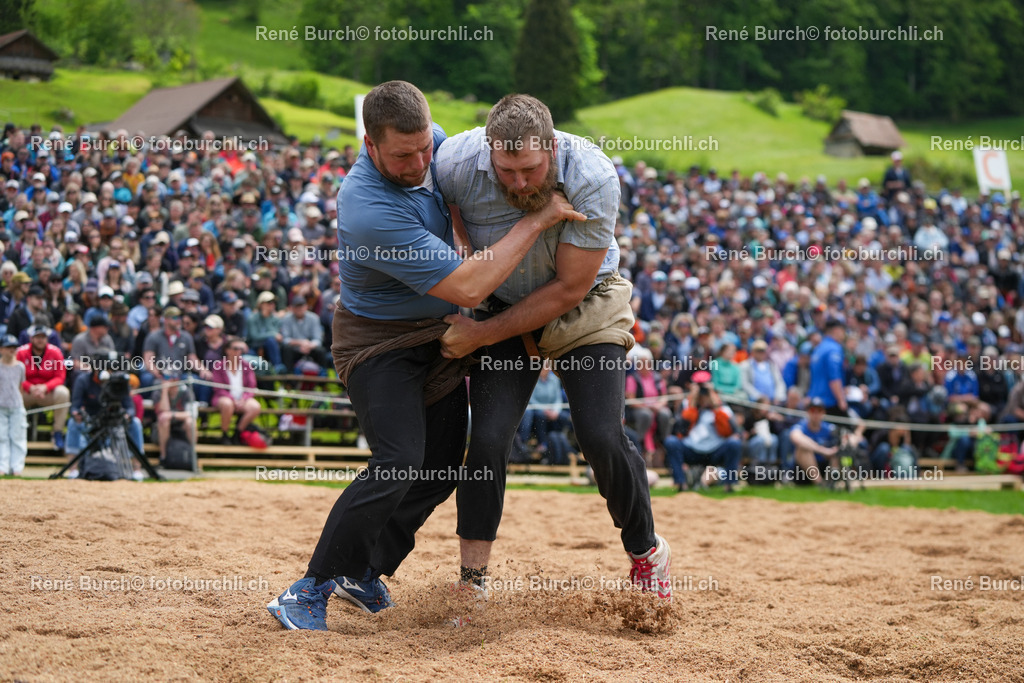 RB-09577 | René Burch leidenschaftlicher Fotograf aus Kerns in Obwalden.  Hier finden sie Sport, Landschaft und Natur Fotografie.
 - Realisiert mit Pictrs.com
