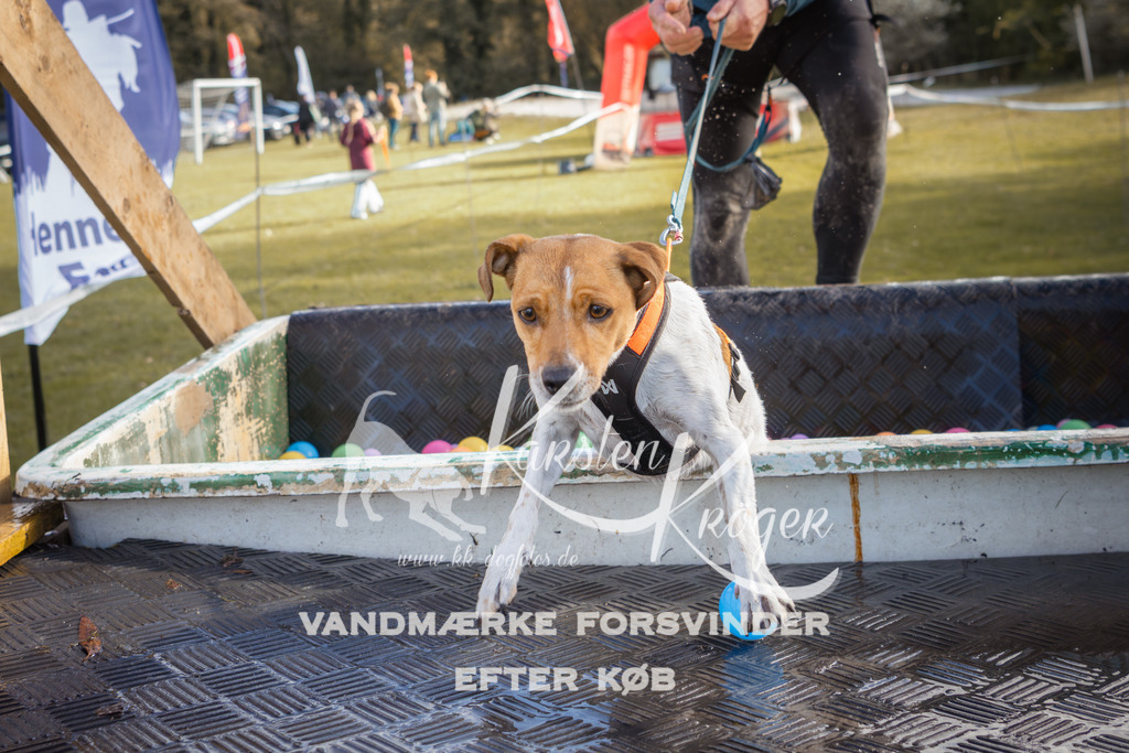 1317_ZZ90070-2 | kk-dogfotos