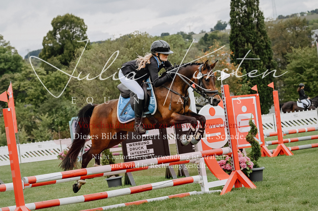 DSC_6770 | Pferde- und Turnierfotografie in Westsachsen. Pferdeportraits, Auftragszeichnungen und intuitive Kunst.