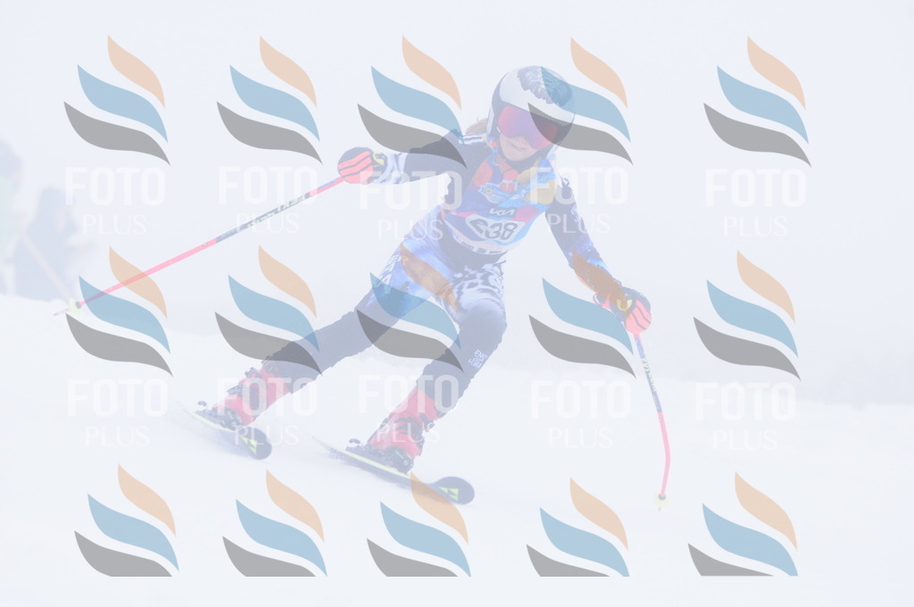 C2497 | holidayphoto