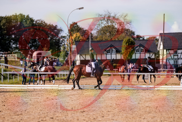 2026_10_03_Siefer-Hof_130235_Z81_57307871 | Professionelle Reitsport-, Turnier- und Eventfotografie von Robert Broda. Galerien mit ausgewählten und bearbeiteten Bildern direkt online ansehen und bestellen.