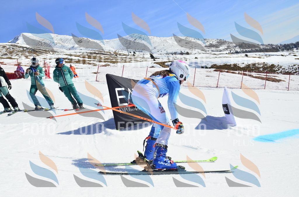 _ELE0141 | holidayphoto