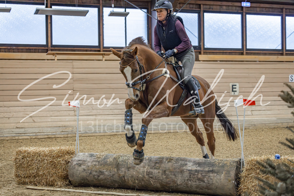 20260221-_3LI8403 | Tierfotografie Pferde, Hunde, Katzen, Haustiere.
Turnierfotografie Reitturniere, Reiten, Springreiten, Dressur in Hanau, dem Main-Kinzig-Kreis und dem Rhein-Main- Gebiet um Frankfurt