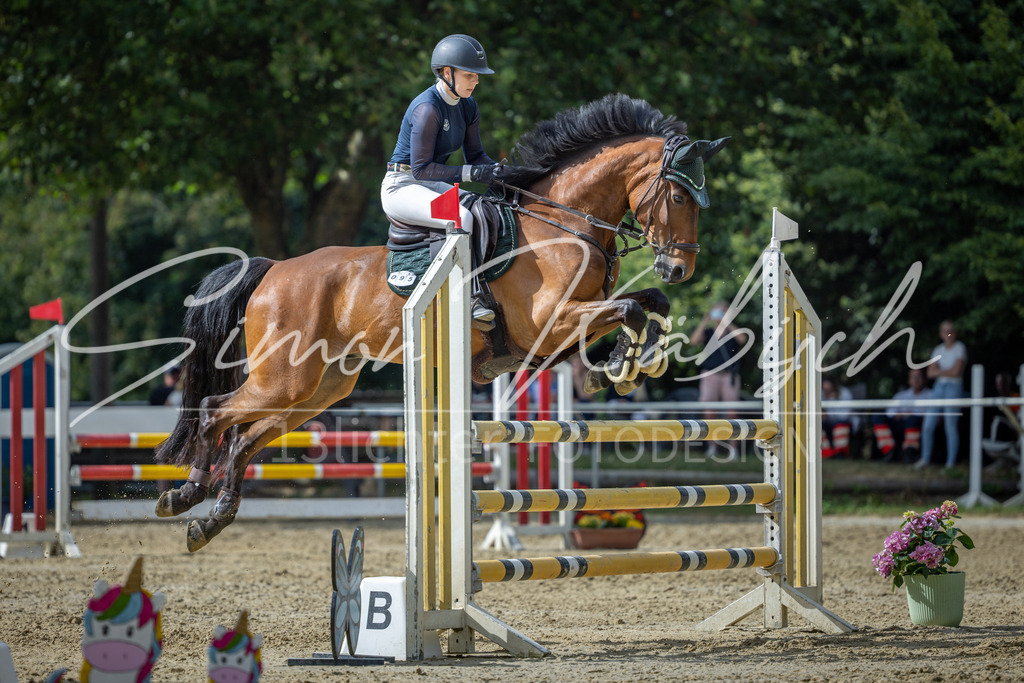 20260704-_3LI1819 | Tierfotografie Pferde, Hunde, Katzen, Haustiere.
Turnierfotografie Reitturniere, Reiten, Springreiten, Dressur in Hanau, dem Main-Kinzig-Kreis und dem Rhein-Main- Gebiet um Frankfurt