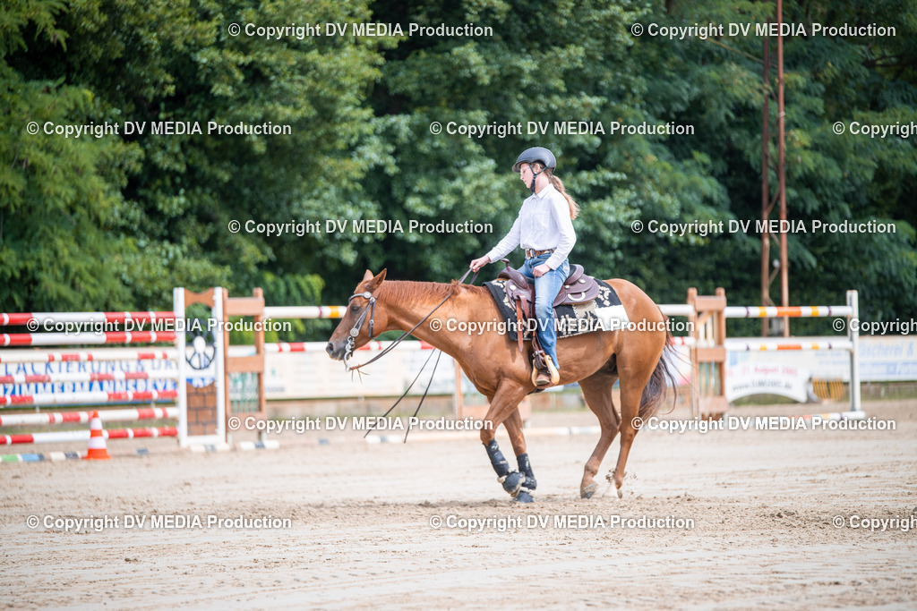 ZS3_5109 | dv-media-shop - Realisiert mit Pictrs.com