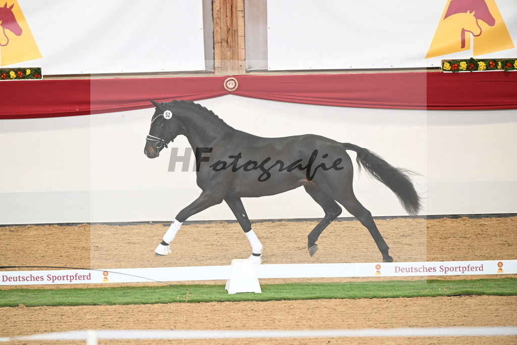 Kat.-Nr. 79 v. Taurus_Beckmann_2250358 | hf-fotografie - Realisiert mit Pictrs.com