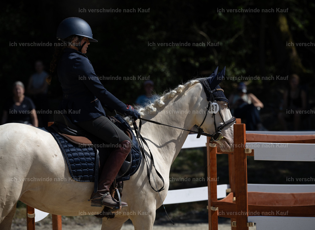 WE_Trail_27_KerstinBernhardt-14 | working equitationturnier fotograf videograf stoibphotography marixx film working equitation deutschland reitsport turnierfotografie eventfotografie equestrian events
