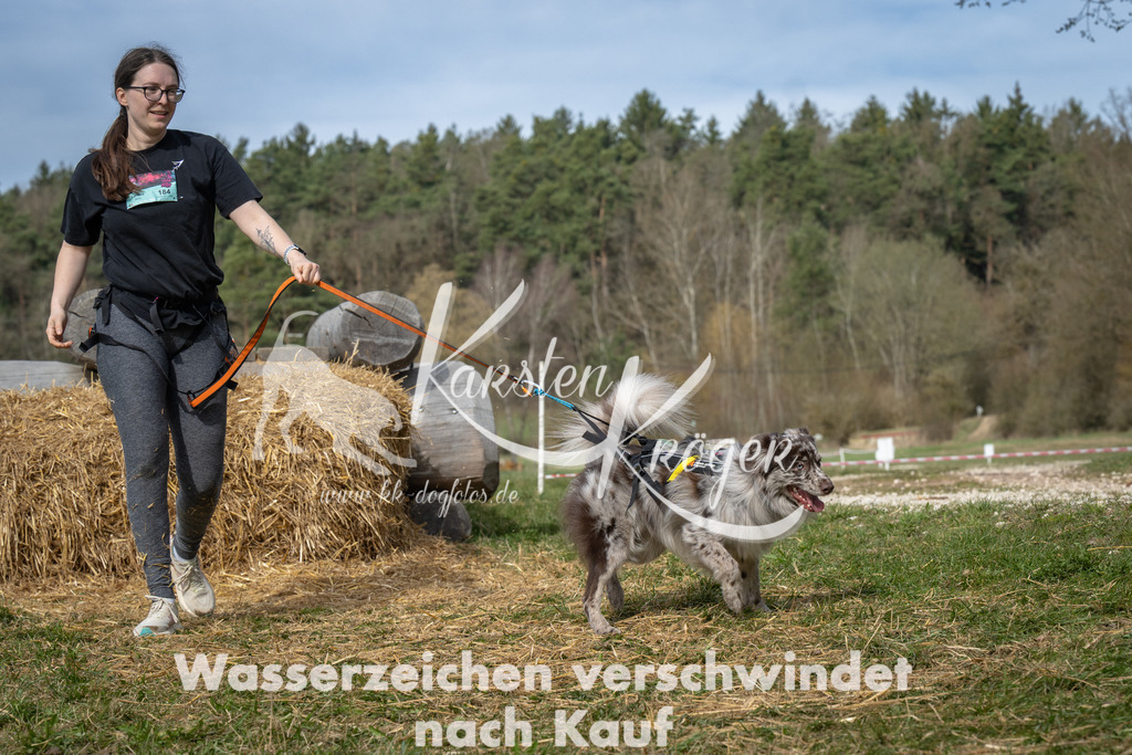 1052_ZZ94460 | kk-dogfotos