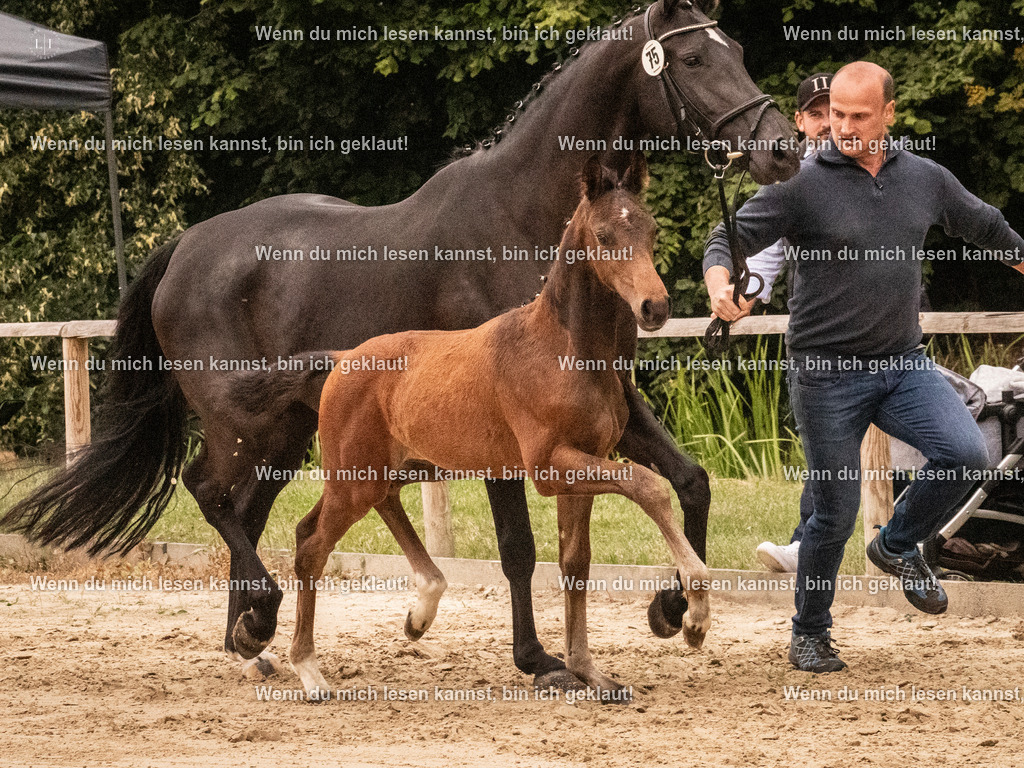 A10I1505 | photographylinaismer - Realisiert mit Pictrs.com