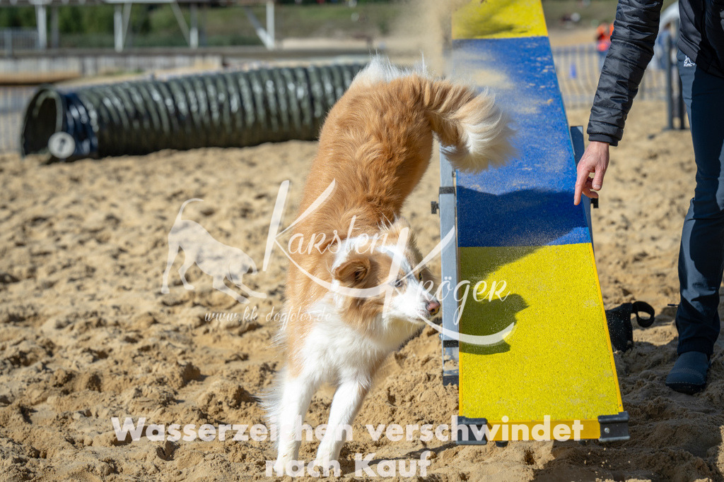 1248_ZZ93521-2 | kk-dogfotos