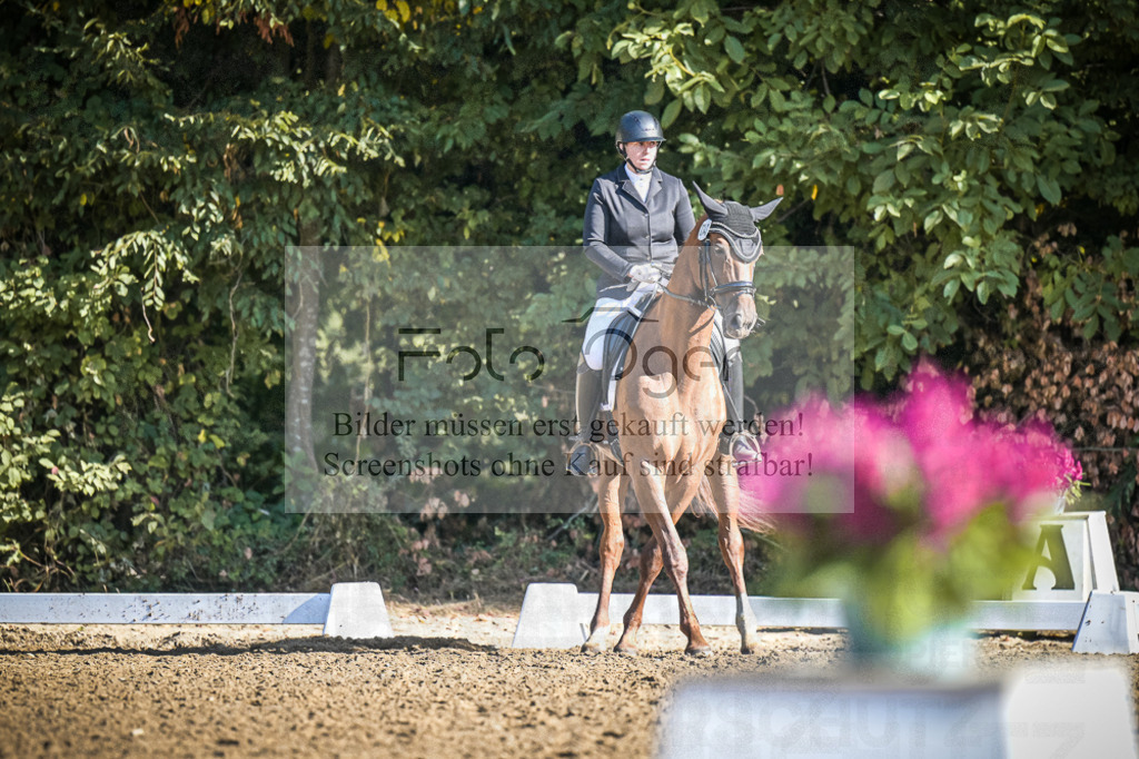 DOS_1161 | Entdecke hochwertige Reitturnierfotos von Foto Oger. Professionell, emotional und authentisch – jetzt Lieblingsmomente im Shop bestellen.Deutschlandweite Turnierfotografie. - Realisiert mit Pictrs.com