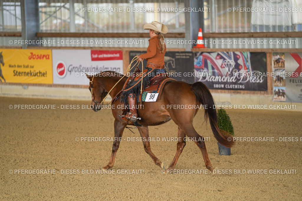 DSC01165 | Pferdegrafie