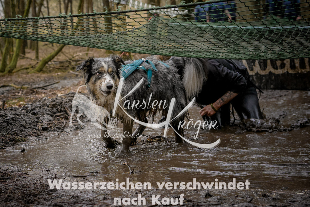 1020_ZZ90678 | kk-dogfotos