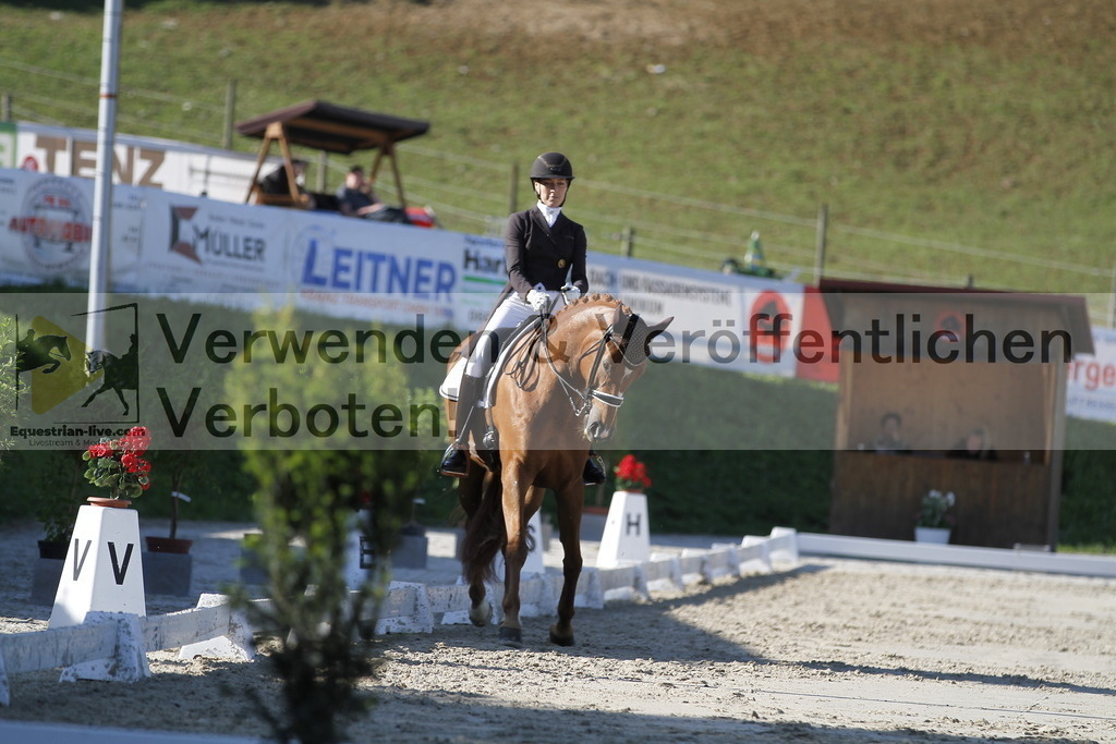 _MG_3251 | equestrian-live-com