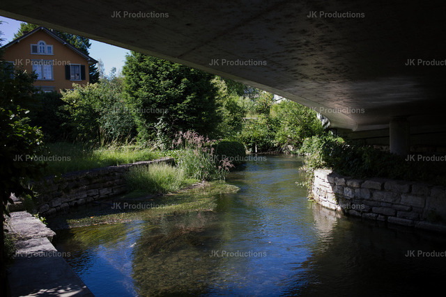 IMG_0157 | Fotos, Fotos kaufen,  Fotos von Stadt und Land, Fotos von Tieren. - Realisiert mit Pictrs.com