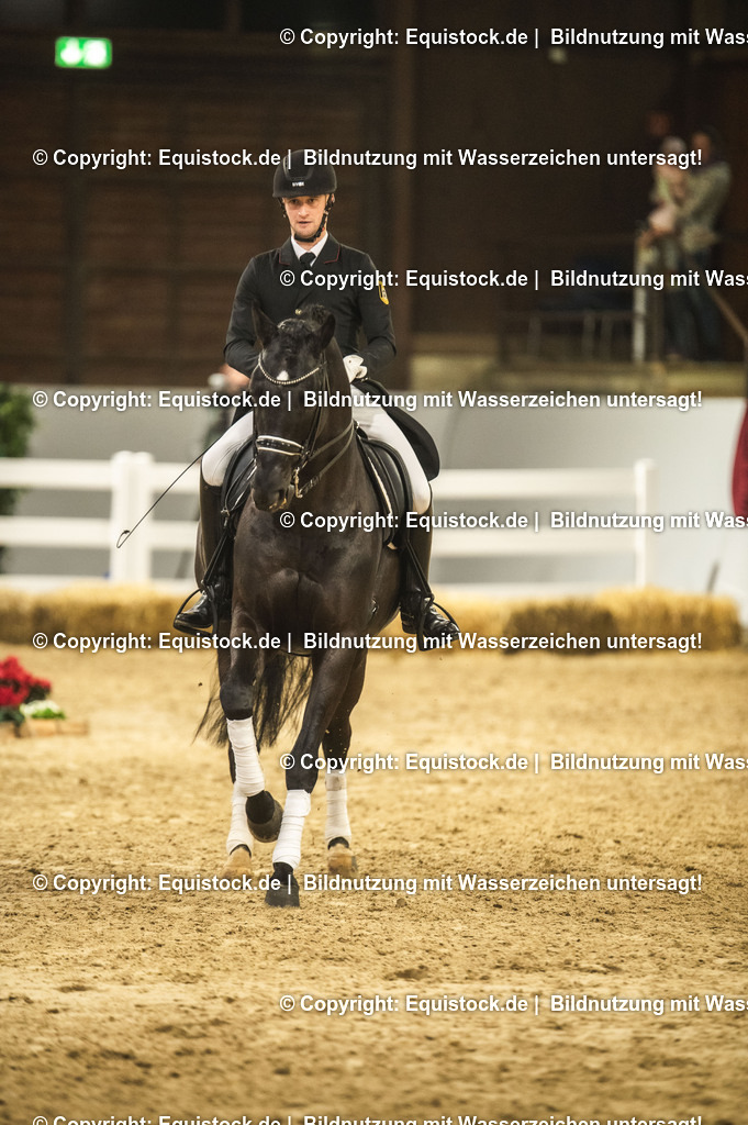20240302_Hengstvorstellung_Marbach_TOMsPiC_1525-2 | equistock