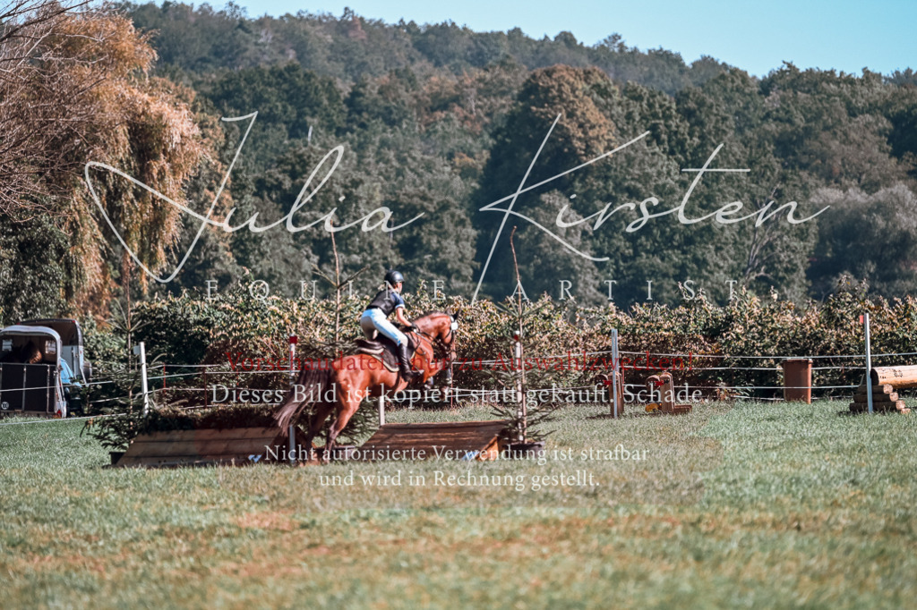 DSC_0967 | Pferde- und Turnierfotografie in Westsachsen. Pferdeportraits, Auftragszeichnungen und intuitive Kunst.