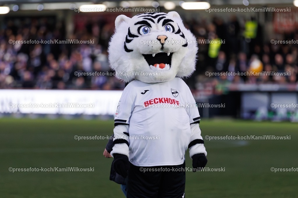 xKWIx30112501045 | 30.11.2025, xkwix, Fußball, 3. Liga, SSC Verl - VfL Osnabrück, Sportclub Arena: Manni das neue SC Verl MaskottchenPhoto:xKamilxWilkowskixPressefotoKochx