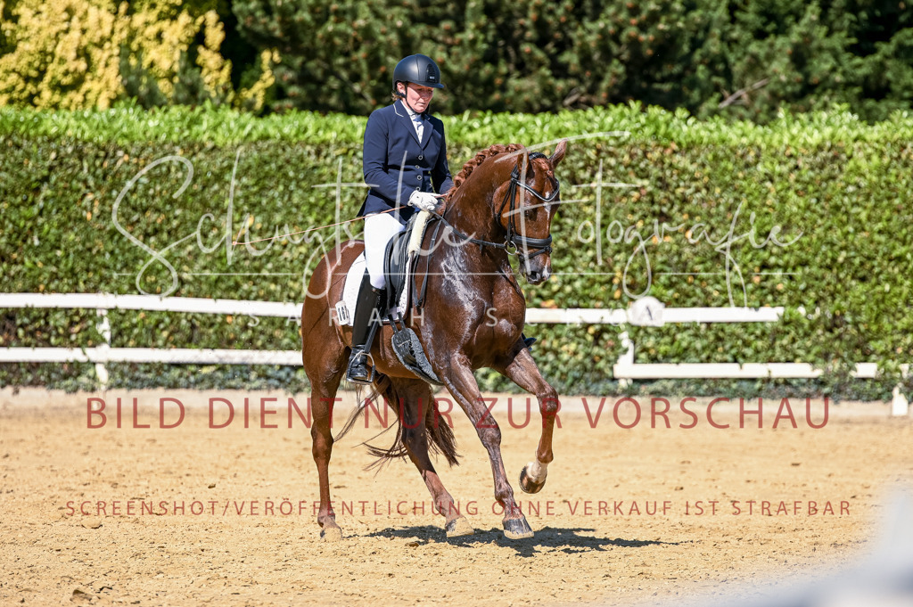 Schugtsche-Aluta25-50.Dressurpferdeprf.L-97 | Schugtsche Fotografie - Realisiert mit Pictrs.com