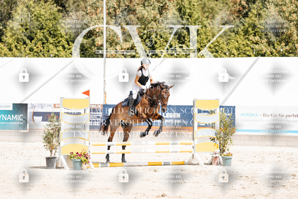 CK906722 | Turnierfotografie Pferdefotografie Trier Rheinland-Pfalz Pferdesport Reitsport Tierfotografie Sportfotografie Pferdevideo Pferdevideografie Equestrianvideography equestrianphotography  - Realisiert mit Pictrs.com