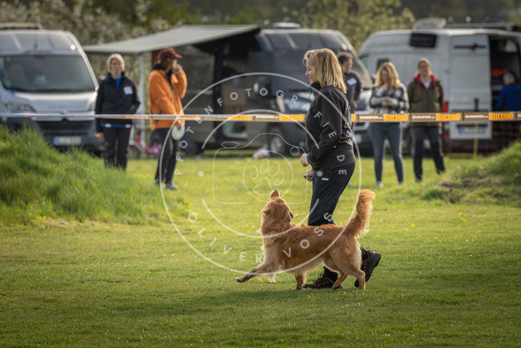 Pfotenfotografie_DV3A4848 | Hundefotografie, Tierfotograf, Pfotenfotografie, Fotoshooting Hund, Hunde Portrait, Hundesport, Hundeportraits, Heideshooting, Hunde, Sportfotograf, Hundefotograf, Turnierhundsport, THS,  - Realisiert mit Pictrs.com