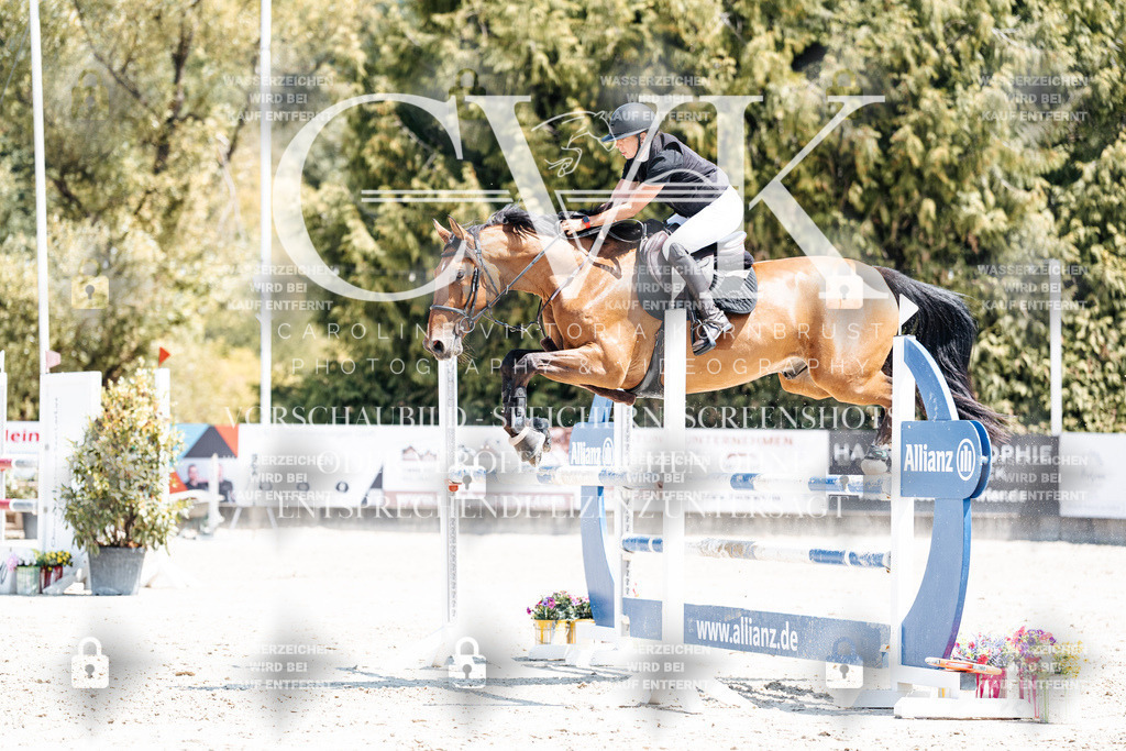 CK900576 | Turnierfotografie Pferdefotografie Trier Rheinland-Pfalz Pferdesport Reitsport Tierfotografie Sportfotografie Pferdevideo Pferdevideografie Equestrianvideography equestrianphotography  - Realisiert mit Pictrs.com