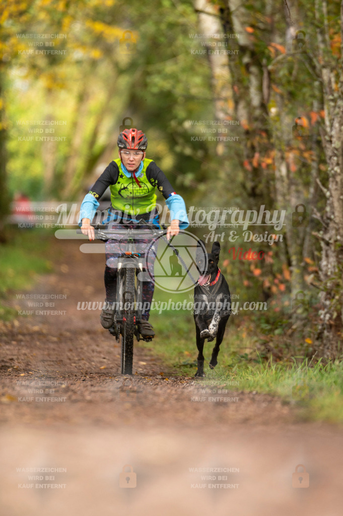 TSB_2023_E4_Bike-54 | PayLife