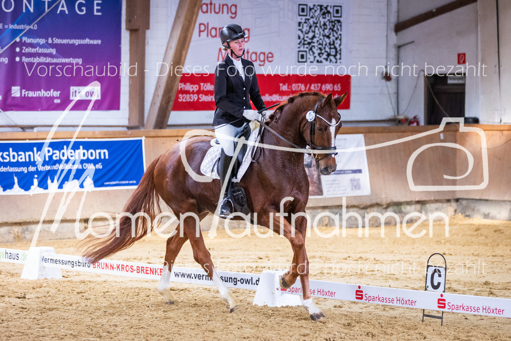 Sth-A-Dre-2St-161 | MomenTaufnahmen Pferdesportfotos