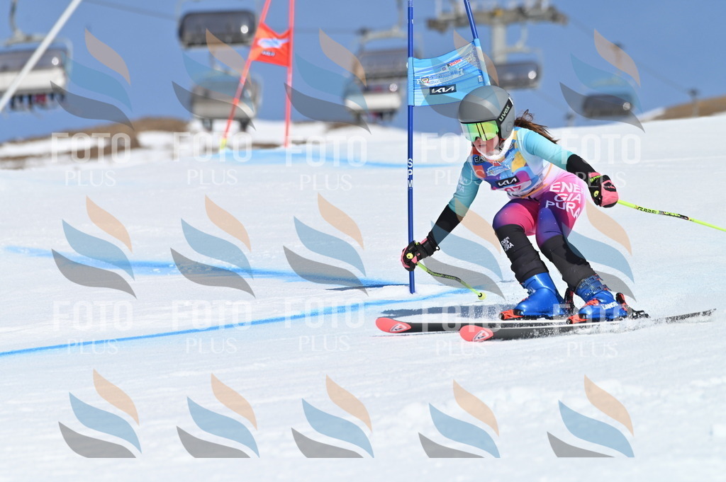 BGV_9403 | holidayphoto