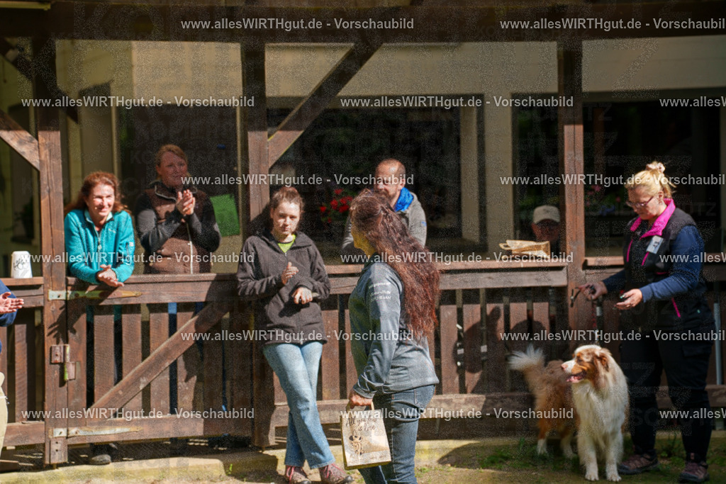 @allesWIRTHgut_Tierfotografie - www.allesWIRTHgut.de - 7R502297 | Professionelle Tierfotografie in Mönchengladbach von Daniel Wirth (allesWIRTHgut). Liebevolle & natürliche Bilder von Hunden & Katzen für unvergessliche Erinnerungen.