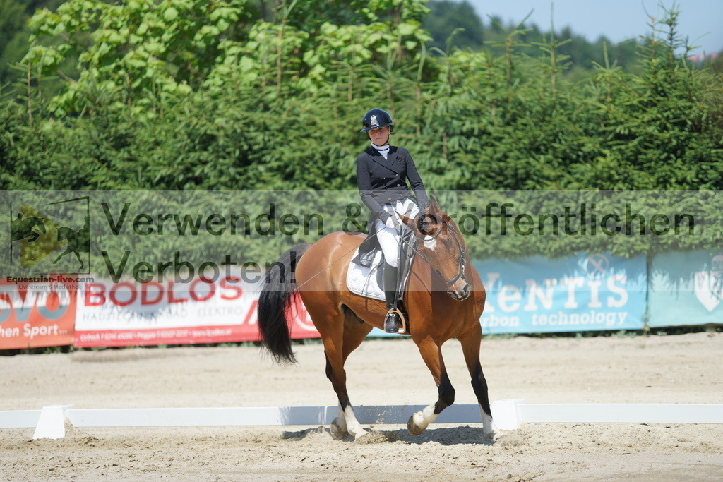 DSC03213 | equestrian-live-com