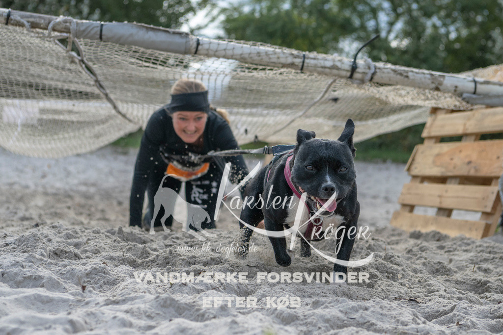 1154_ZZ99489 | kk-dogfotos