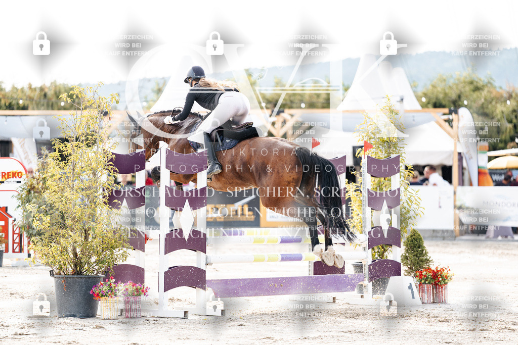 CK906448 | Turnierfotografie Pferdefotografie Trier Rheinland-Pfalz Pferdesport Reitsport Tierfotografie Sportfotografie Pferdevideo Pferdevideografie Equestrianvideography equestrianphotography  - Realisiert mit Pictrs.com