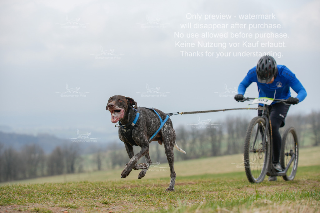 ScooterSA-19 | stephaniefillaphotographie - Realisiert mit Pictrs.com