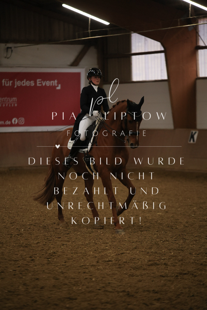 IMGT6324 | pl-fotografie