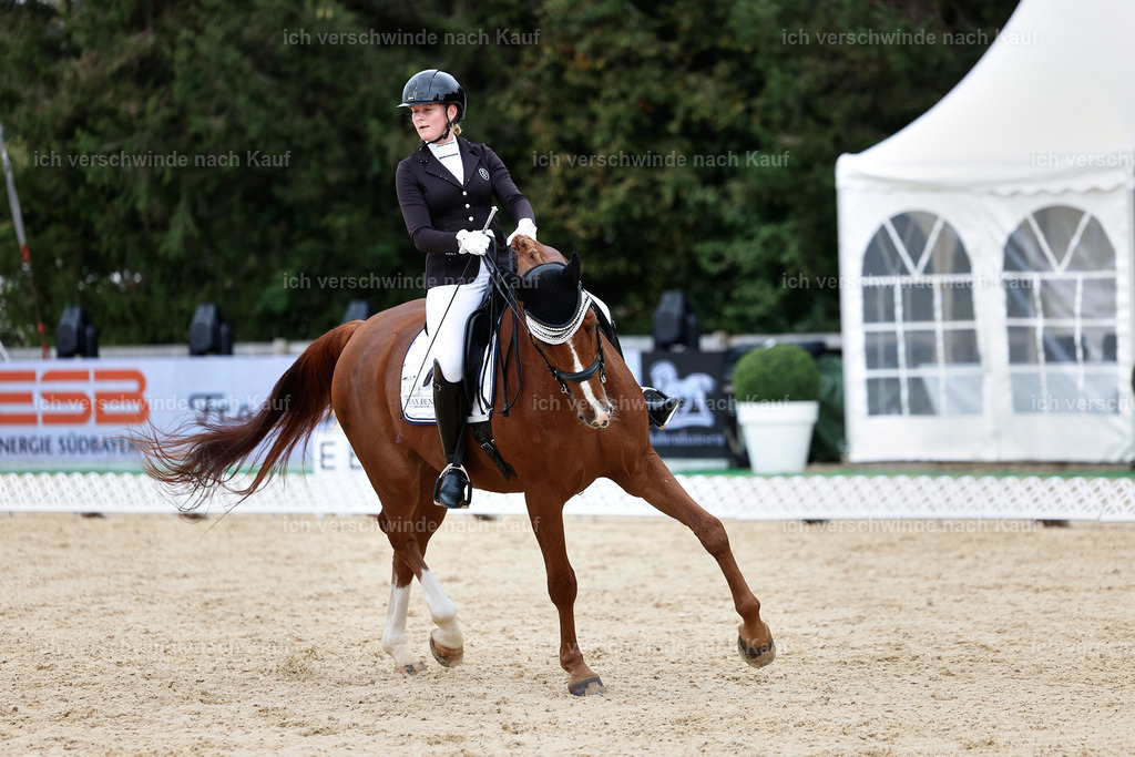 3-210-Dressur M_-StoibPH-2471 | working equitationturnier fotograf videograf stoibphotography marixx film working equitation deutschland reitsport turnierfotografie eventfotografie equestrian events