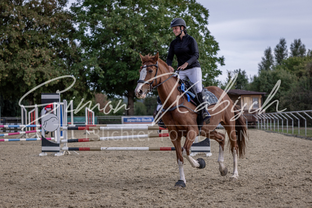 20260906-_3LI6689 | Tierfotografie Pferde, Hunde, Katzen, Haustiere.
Turnierfotografie Reitturniere, Reiten, Springreiten, Dressur in Hanau, dem Main-Kinzig-Kreis und dem Rhein-Main- Gebiet um Frankfurt