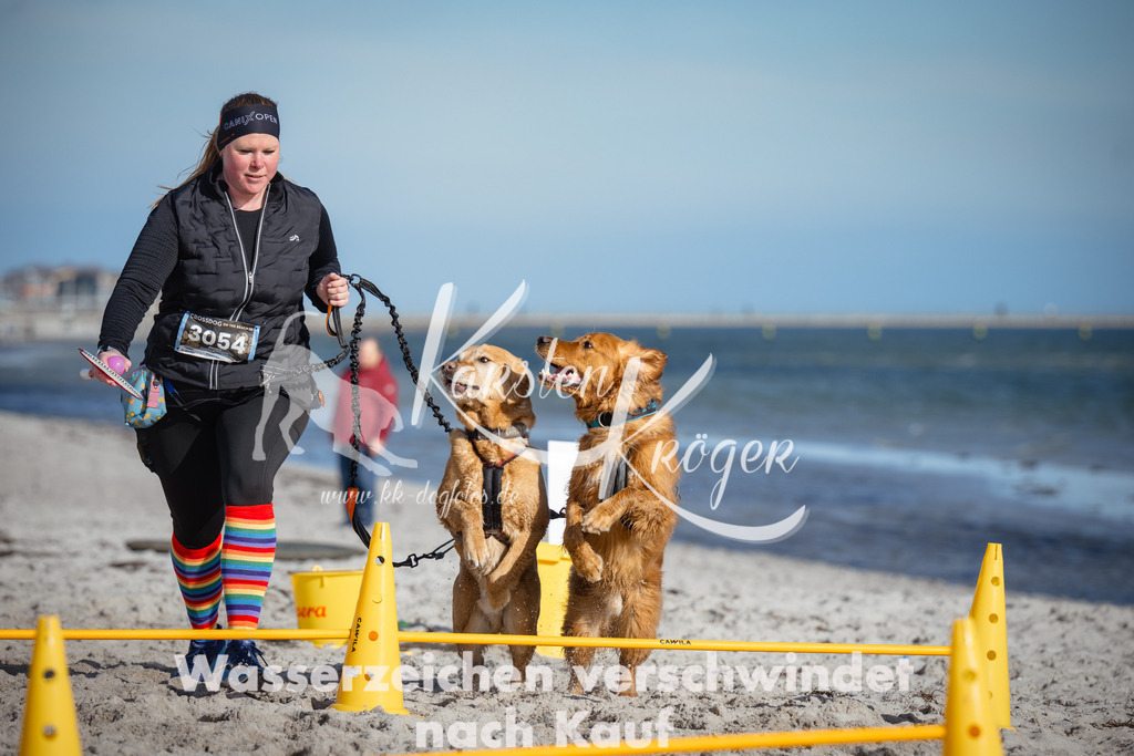 1343_ZZ92926 | kk-dogfotos