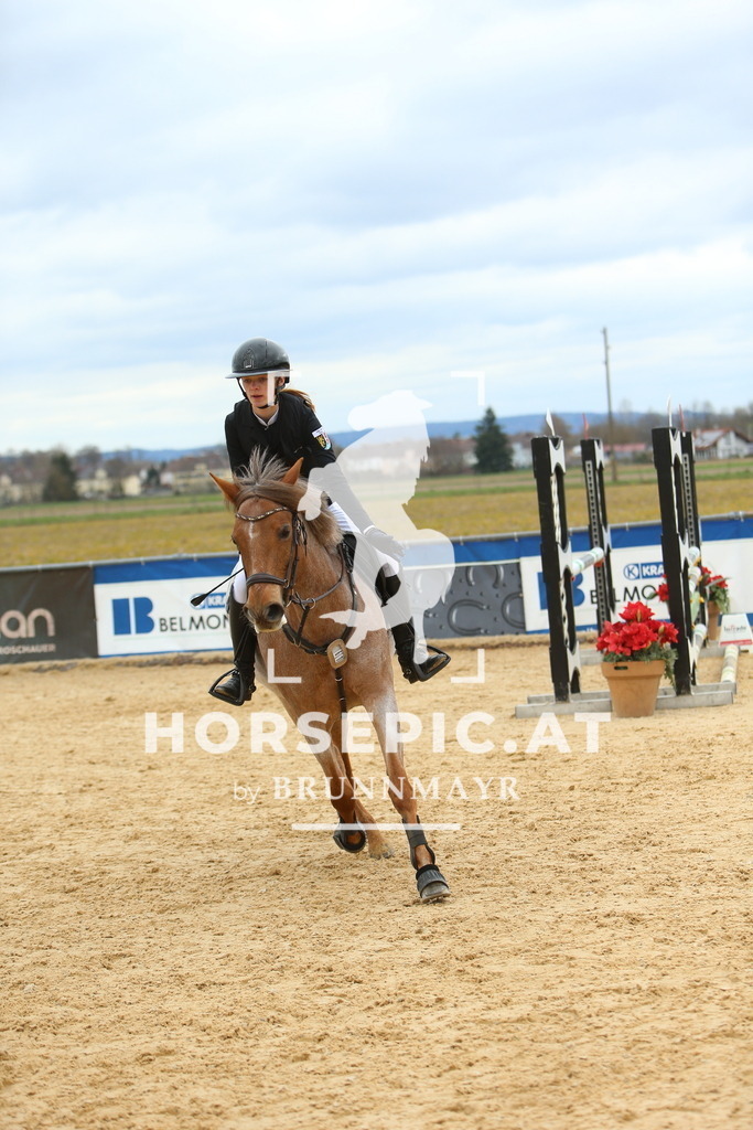 DL2Q2620 | Willkommen bei Brunnmayr - Design & Fotografie – Ihrem Spezialisten für Reitturniere und Pferdeveranstaltungen in Oberösterreich, Salzburg und Bayern! Seit über 17 Jahren sind wir leidenschaftlich dabei.