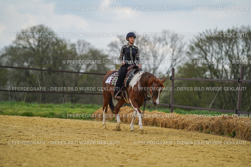 DSC06651 | Pferdegrafie