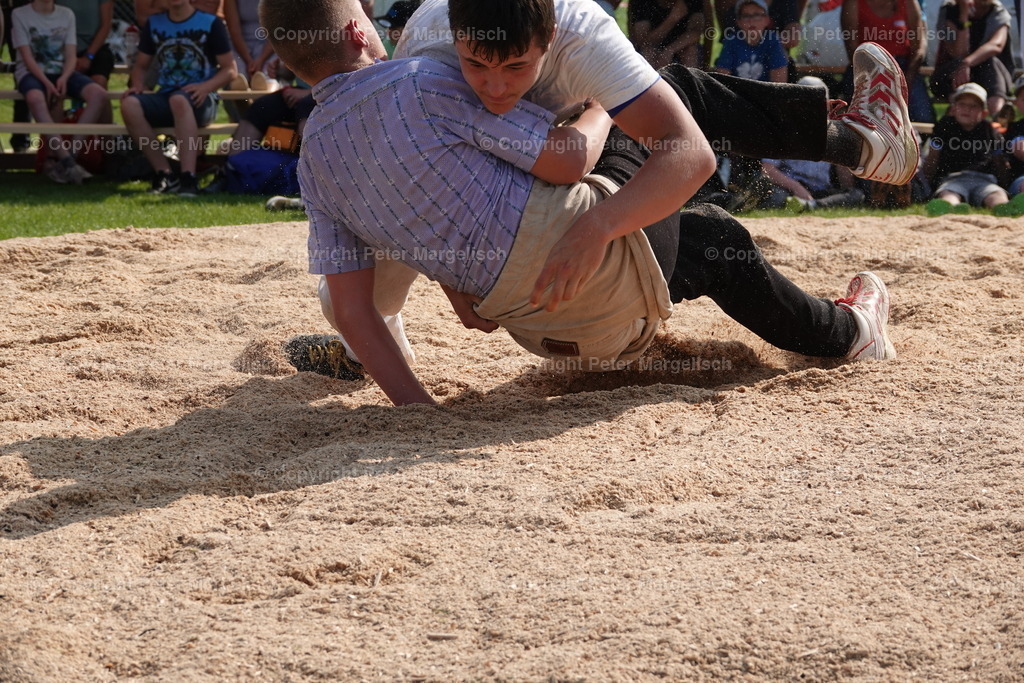 DSC04400 | Schwingen - Realisiert mit Pictrs.com