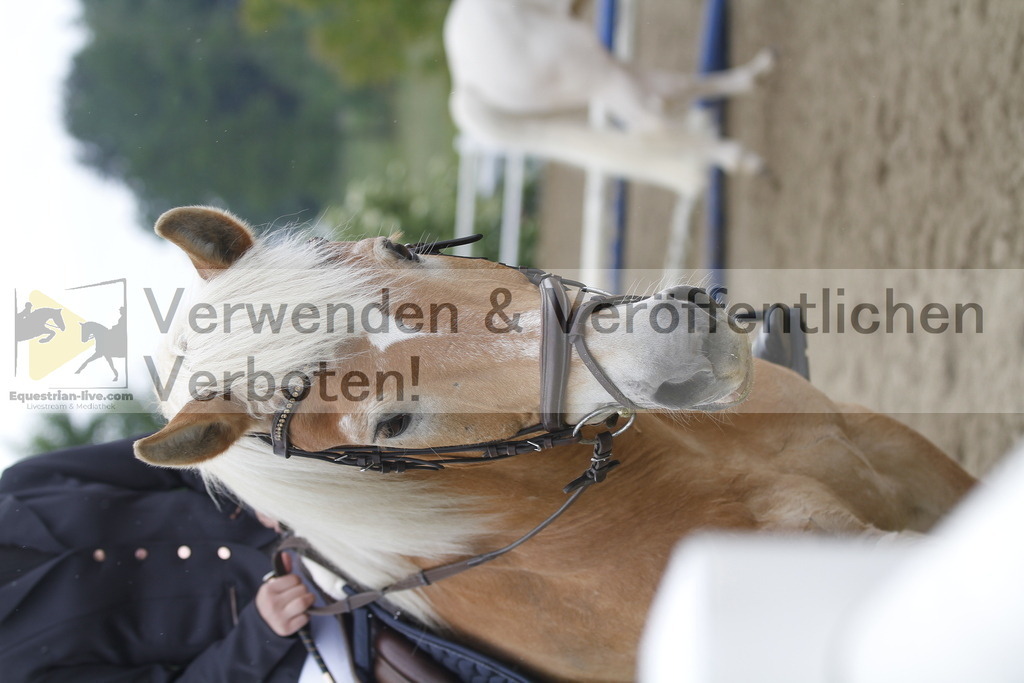 _MG_9876 | equestrian-live-com