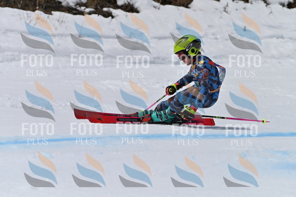 BGV_6050 | holidayphoto