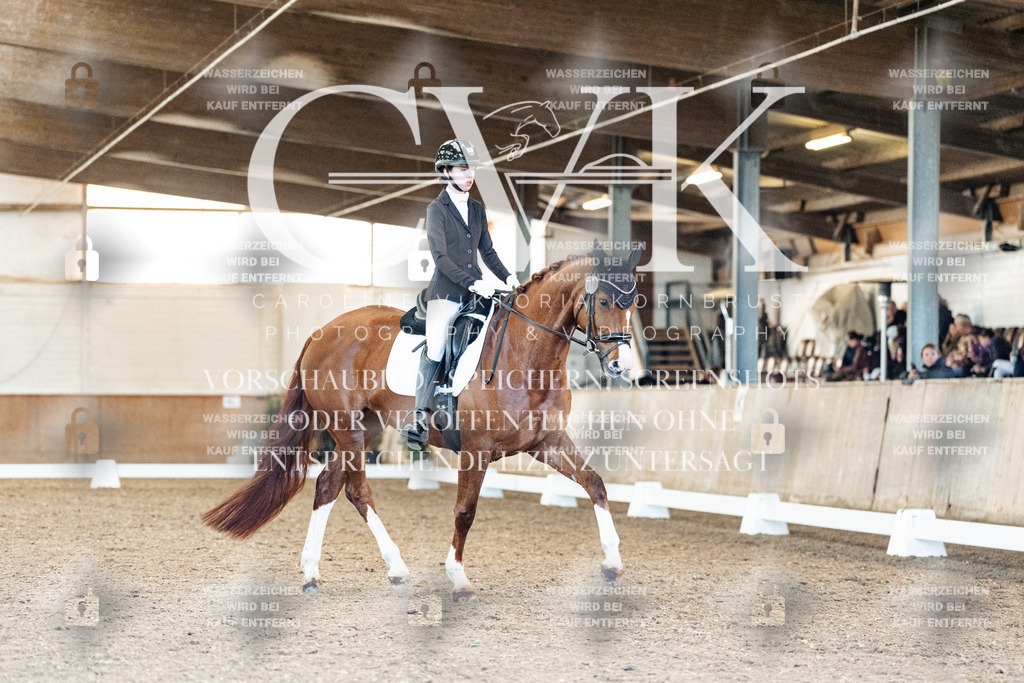 CK909063 | Turnierfotografie Pferdefotografie Trier Rheinland-Pfalz Pferdesport Reitsport Tierfotografie Sportfotografie Pferdevideo Pferdevideografie Equestrianvideography equestrianphotography  - Realisiert mit Pictrs.com