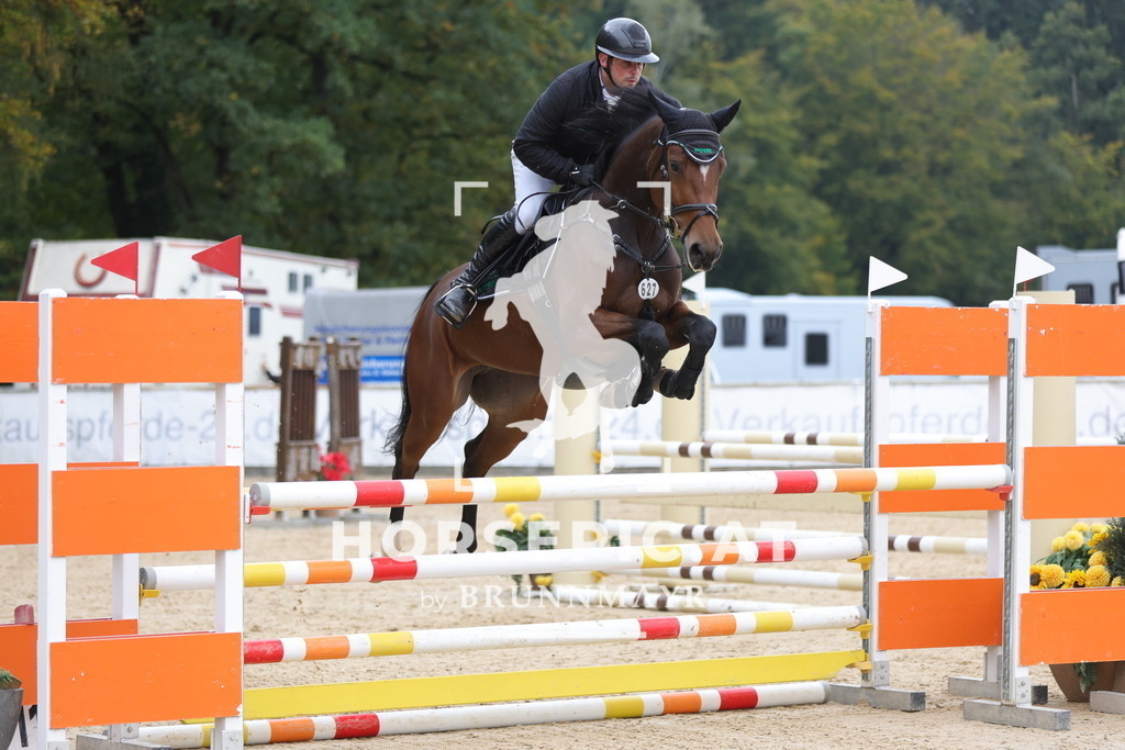 0P6A3547 | Willkommen bei Brunnmayr - Design & Fotografie – Ihrem Spezialisten für Reitturniere und Pferdeveranstaltungen in Oberösterreich, Salzburg und Bayern! Seit über 17 Jahren sind wir leidenschaftlich dabei.