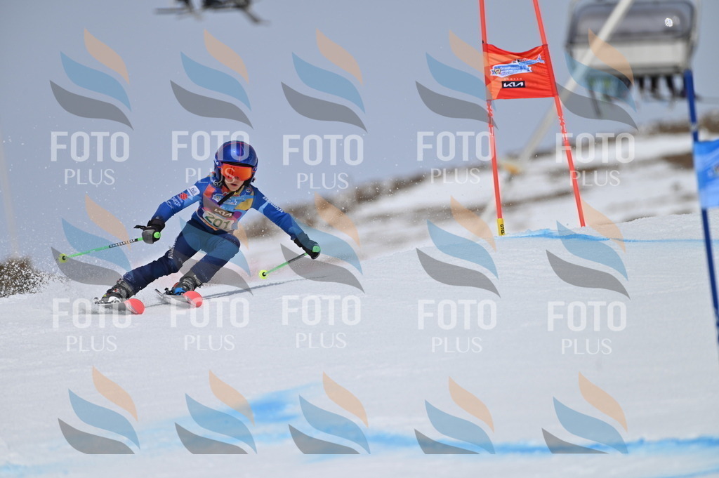 BGV_3866 | holidayphoto