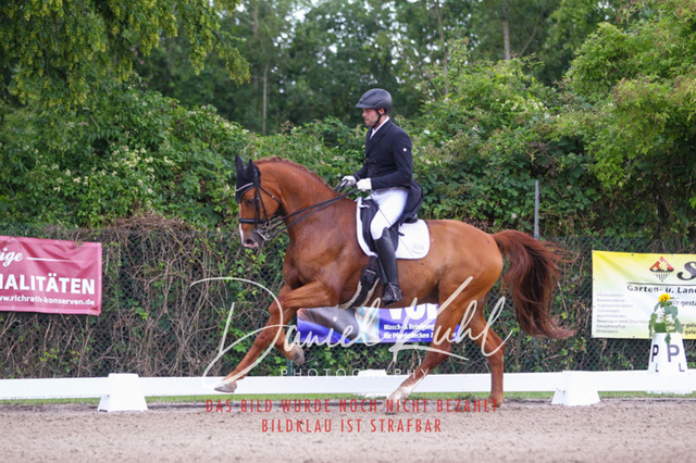 DKP41352 | Turniersportfotografie; Pferdefotografie; Dressurfotografie