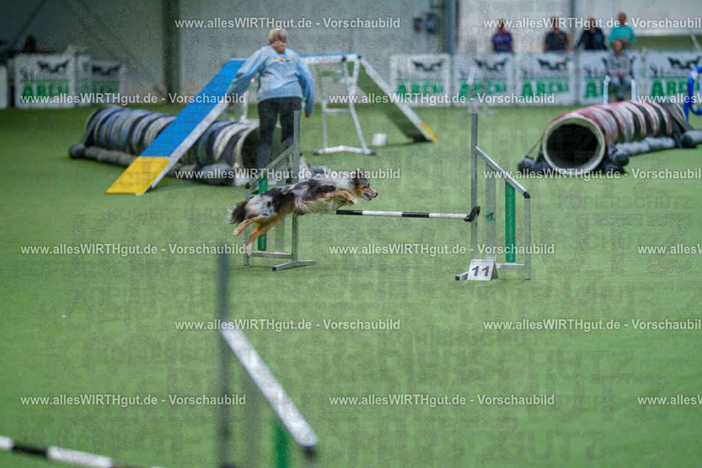 @allesWIRTHgut_Tierfotografie - www.allesWIRTHgut.de - 2604250842-7R507484 | Professionelle Tierfotografie in Mönchengladbach von Daniel Wirth (allesWIRTHgut). Liebevolle & natürliche Bilder von Hunden & Katzen für unvergessliche Erinnerungen.