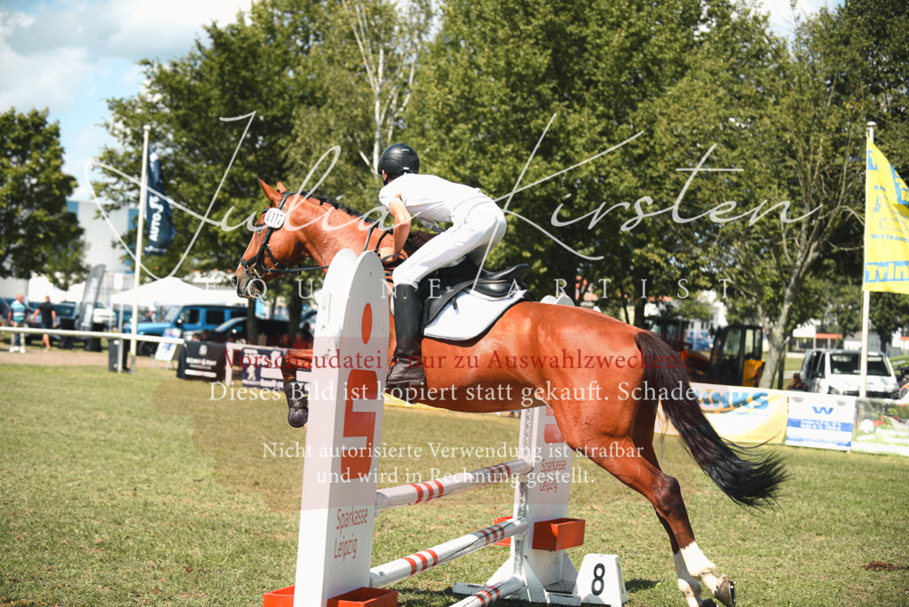 DSC_6585 | Pferde- und Turnierfotografie in Westsachsen. Pferdeportraits, Auftragszeichnungen und intuitive Kunst.